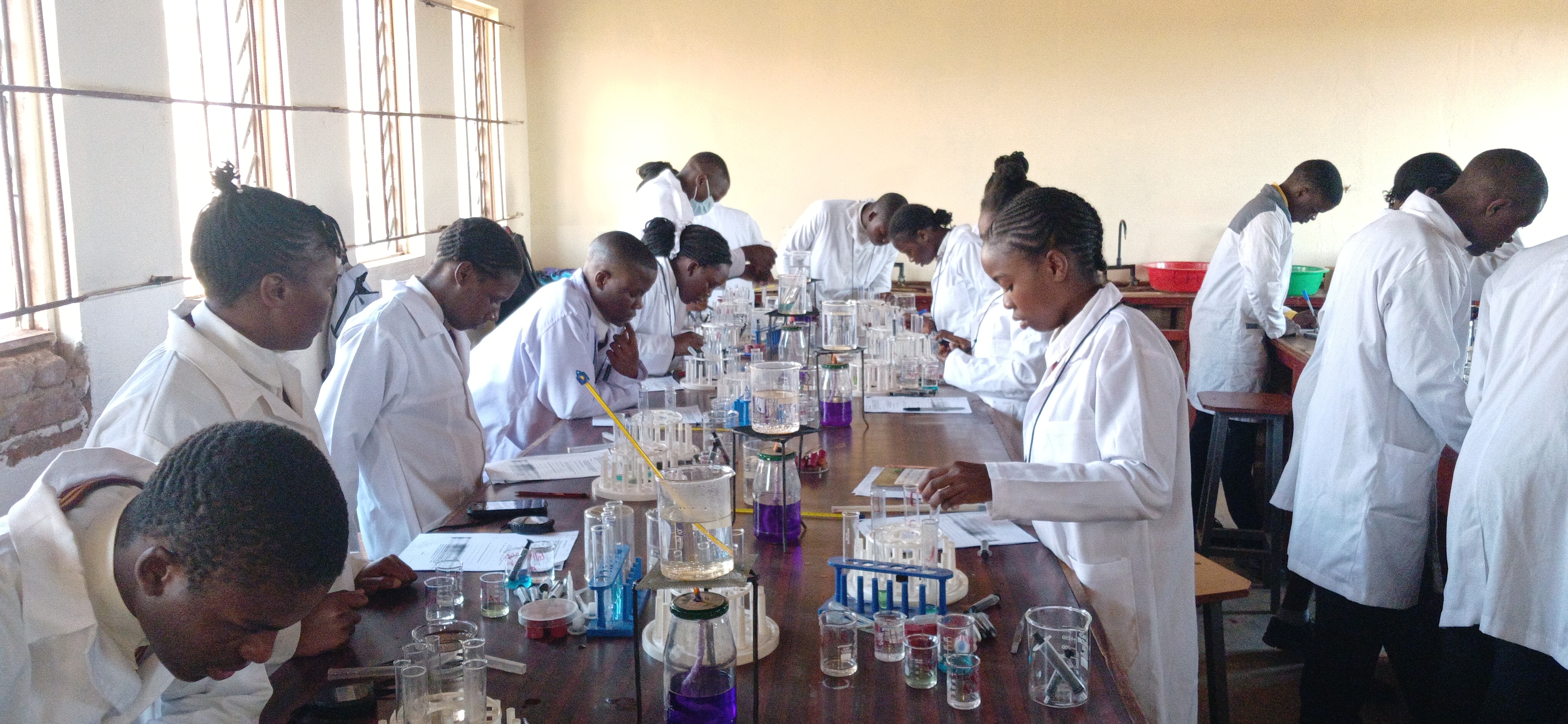 A-level biology students conducting a practical experiment.